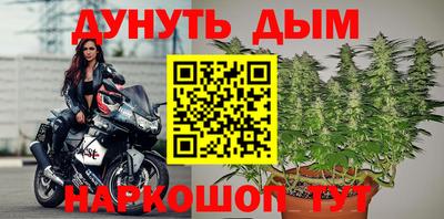 гашик Малгобек