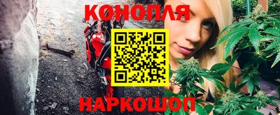 индика Мариинск