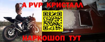 гашик Малгобек