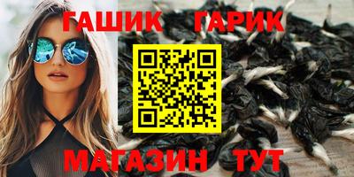 гашик Малгобек
