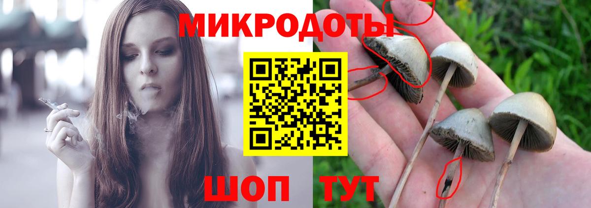 Грязи  Псилоцибиновые грибы ЛСД  Галлюциногенные грибы GOLDEN TEACHER  Вход с VPN 